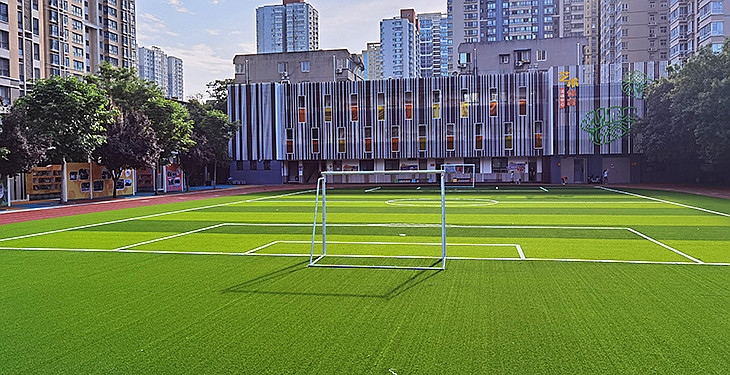 校园足球场草坪
