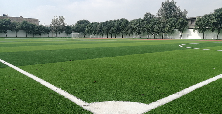 蓝田宋村初级中学