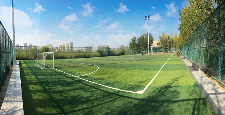 浐灞笼式足球场