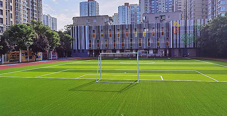 【产品介绍】校园足球草，选择多利隆免充砂！